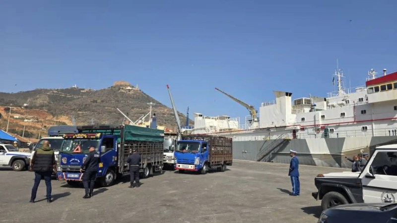 Algeria Boosts Eid Supply: Arrival of First Spanish Sheep Shipment at Oran Port
