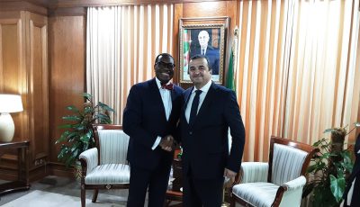 Mohamed Arkab, AfDB President Akinwumi Adesina Strengthen Strategic Energy and Mining Cooperation