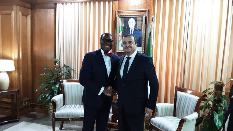 Mohamed Arkab, AfDB President Akinwumi Adesina Strengthen Strategic Energy and Mining Cooperation