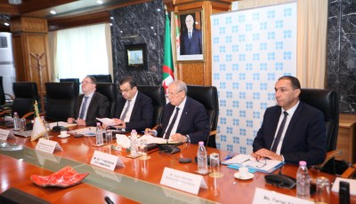 Mohamed Arkab Champions Algeria’s Voice in OPEC and OPEC+ High-Level Deliberations