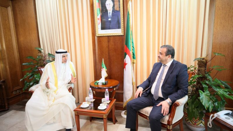 Mohamed Arkab Hosts FADES Director General Amidst Push for Deeper Strategic Energy and Development Ties