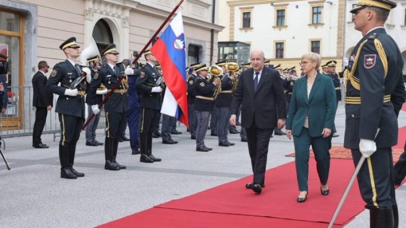President Tebboune Visits Slovenia’s Lipica Stud Farm: A Tribute to Centuries of Equine Heritage