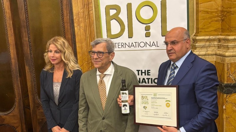 Algeria’s Braza Olive Wins Gold in Rome: A Triumph for Algerian Excellence in Organic Olive Oil