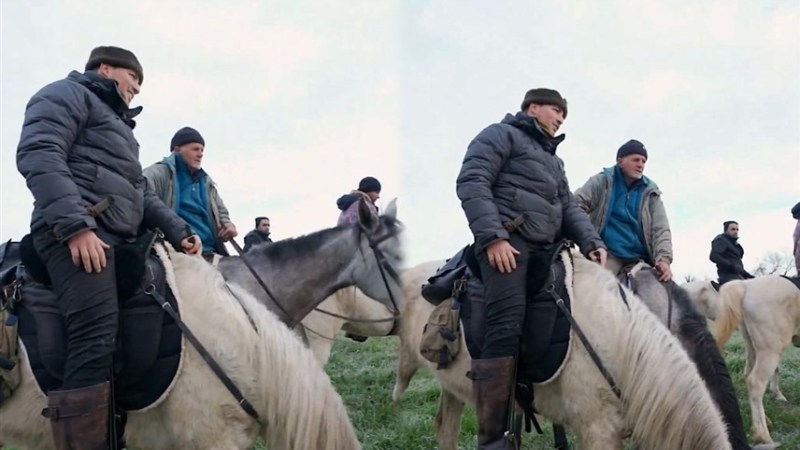 Epic Pilgrimage: Spanish Converts Ride Over 6,000 km on Horseback to Reach Mecca After Eight-Month Journey