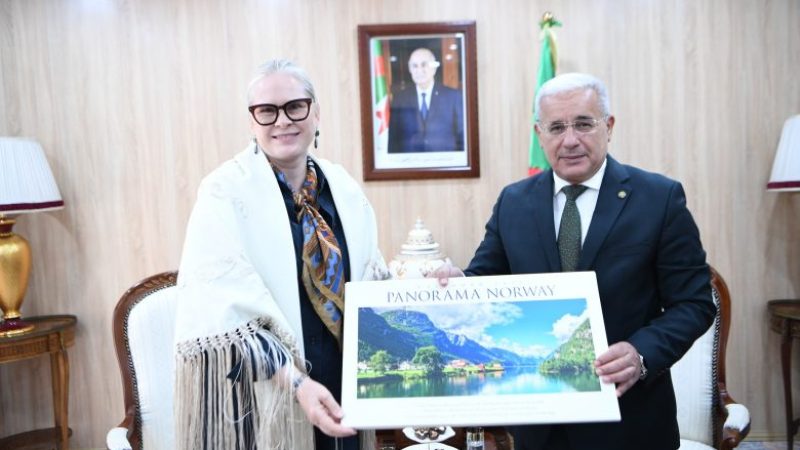 Boughali Commends Norway’s Principled Stance on Palestine, Western Sahara