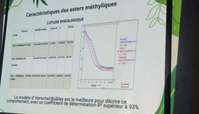 Breakthrough Innovation in Algeria: Chemistry Students Develop Eco-Friendly Insulating Material from Vegetable Oils