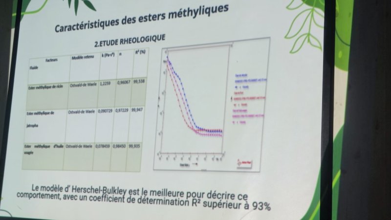Breakthrough Innovation in Algeria: Chemistry Students Develop Eco-Friendly Insulating Material from Vegetable Oils