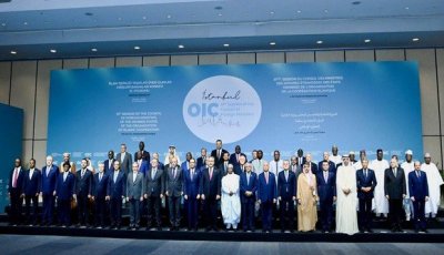 Istanbul Declaration Hails Algeria’s Leadership at the UN Security Council