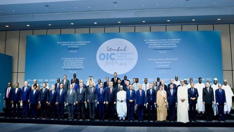 Istanbul Declaration Hails Algeria’s Leadership at the UN Security Council