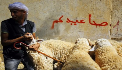 From Sacred Rituals to Culinary Heritage: Exploring the Rich Traditions and Communal Spirit of Eid al-Adha in Algeria