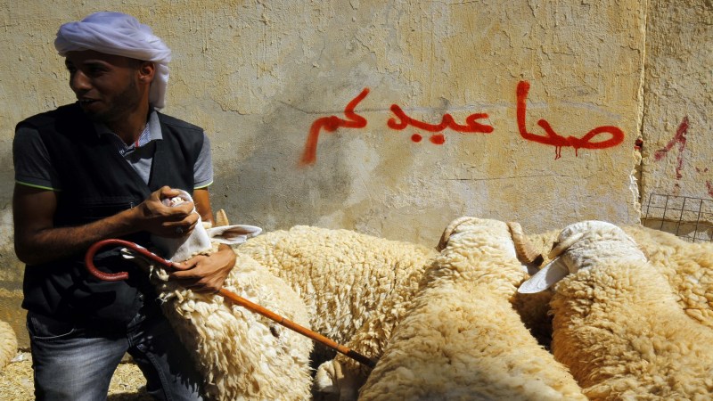 Eid al adha in Algeria