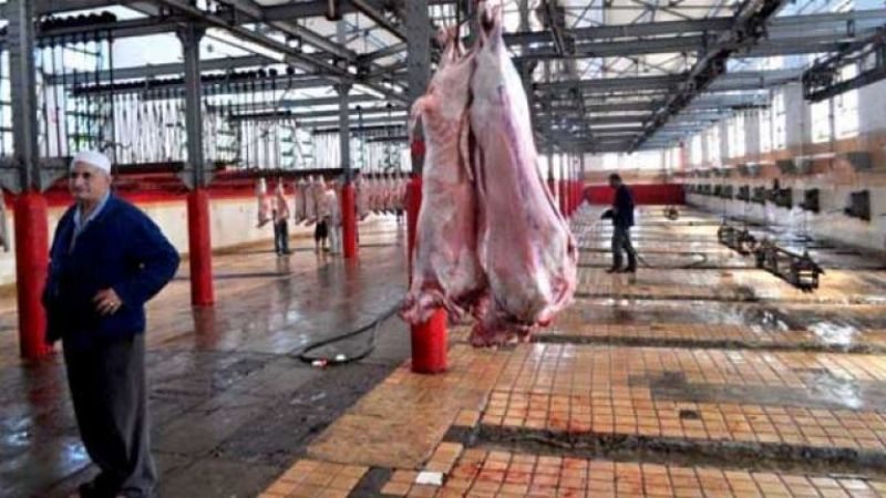 Algiers Mobilizes Emergency Teams and Opens El Harrach Slaughterhouse to Handle 1,000 Sheep and 200 Cattle for Eid al-Adha