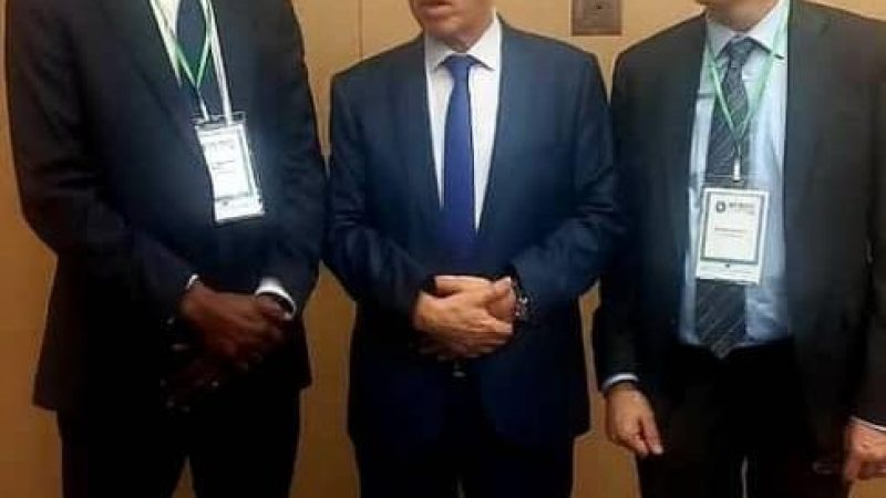 Algeria, World Bank Deepen Strategic Health Partnership