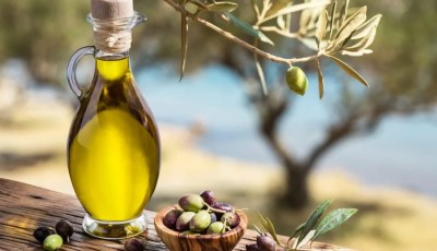 Algeria Honors 145 Olive Oil Producers at First National OléoMed Awards