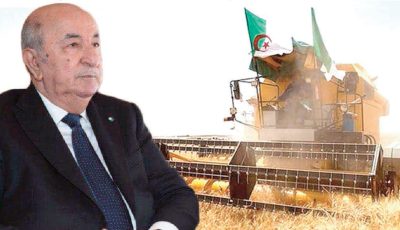 President Tebboune Unveils Algeria’s Strategic Plan to Store Nine Million Tonnes of Cereals