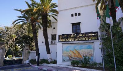 Algeria, Iran Deepen Human Rights Cooperation Amid Global Injustices