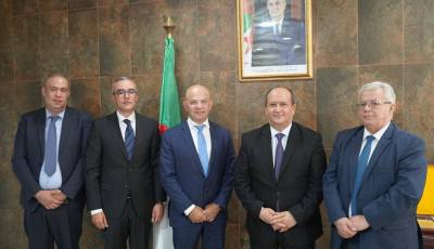 Algeria, Stellantis Deepen Strategic Partnership: Push for Local Integration in Automotive Industry