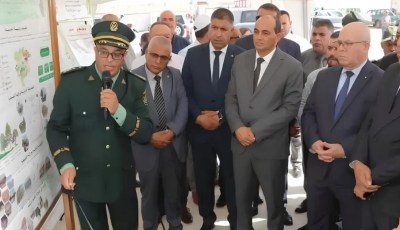Up to 150 Million DZD in Interest-Free Loans: Algeria Launches Game-Changing Plan to Empower Small Farmers