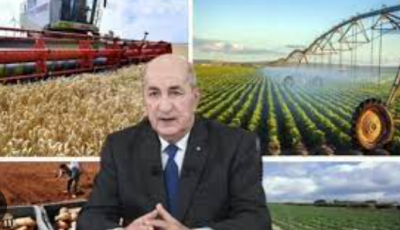 President Tebboune Declares $38 Billion Agricultural Boom, Signals Sector’s Rise to Rival Hydrocarbons