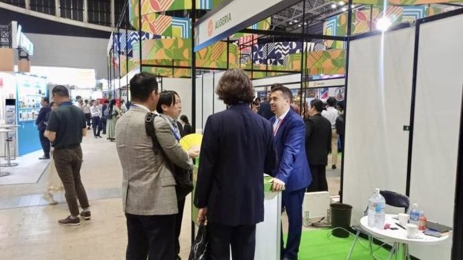 Algeria Steals the Spotlight in Yokohama: Japanese Investors Eye Gateway to Africa