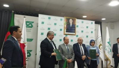 Saidal, Madar Seal Deal to Establish Africa’s First Cellular Therapy Clinic in Algeria