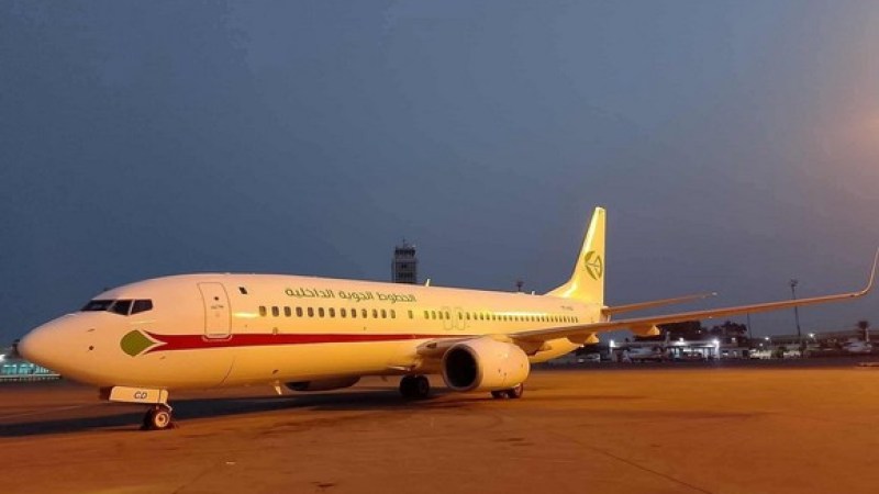 Domestic Airlines