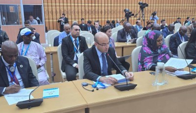 Algeria Champions South-South Cooperation as a Strategic Lever for Landlocked Nations
