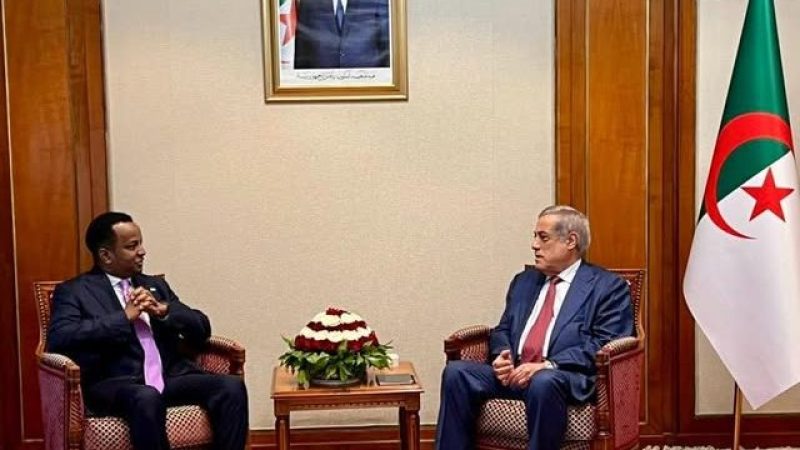 Algeria, Somalia Strengthen Strategic Ties Amid Regional Security Challenges