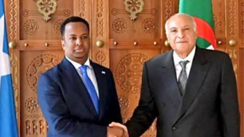 Algeria, Somalia Seal Strategic Diplomatic Accord to Bolster Regional Stability and African Solidarity