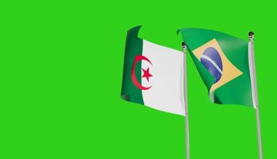 Algeria-Brazil Economic Ties Deepen: Non-Hydrocarbon Exports Surge as Landmark Livestock Deal Sealed
