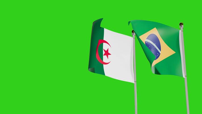 Algeria-Brazil Economic Ties Deepen: Non-Hydrocarbon Exports Surge as Landmark Livestock Deal Sealed