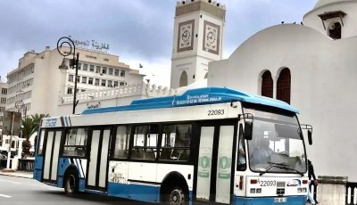 ETUSA Launches Bus Lines to Djamaâ El-Djazaïr