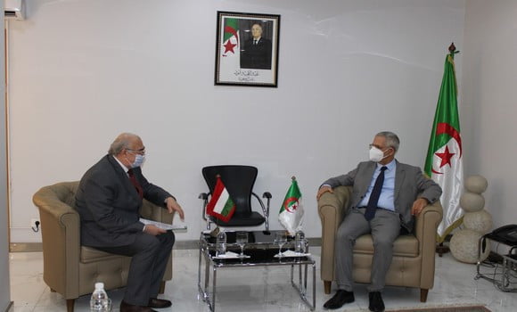 Algérie-Hongrie: les modalités d’investissement  évoquées