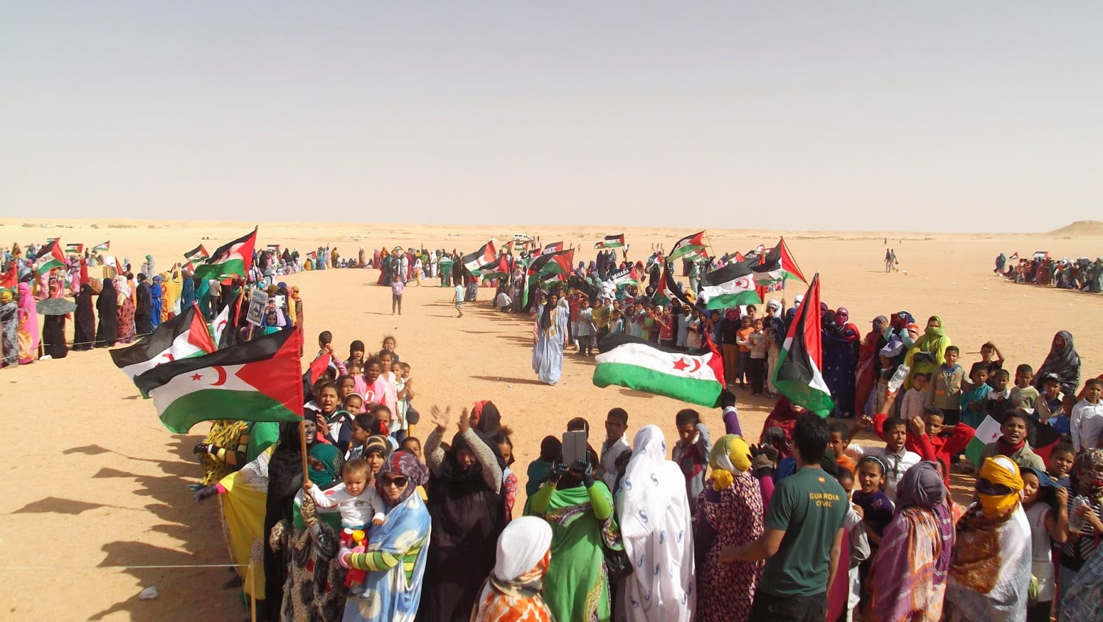 Sahara occidental: WSRW alerte sur l’exploitation illégale de myrtilles
