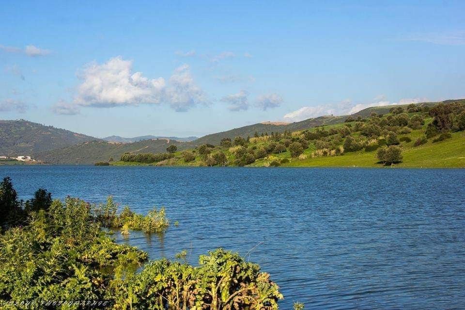 7 raisons de la crise de l’eau dans la wilaya d’Alger
