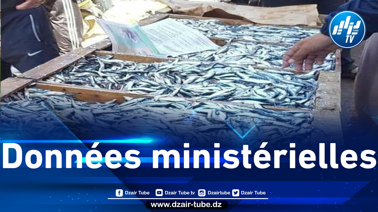 Augmentation de la production de sardines en 2021