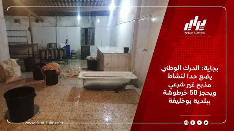 بجاية: الدرك الوطني يضع حدا لنشاط مذبح غير شرعي ويحجز 50 خرطوشة ببلدية بوخليفة