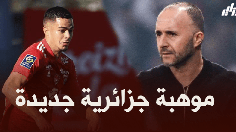 ‘رومان فافر’ تحت أنظار جمال بلماضي
