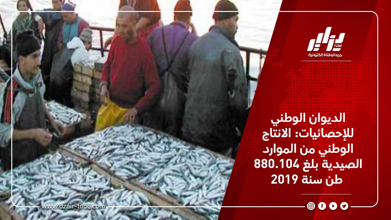 الديوان الوطني للإحصائيات : الانتاج الوطني من الموارد الصيدية بلغ 104.880 طن سنة 2019