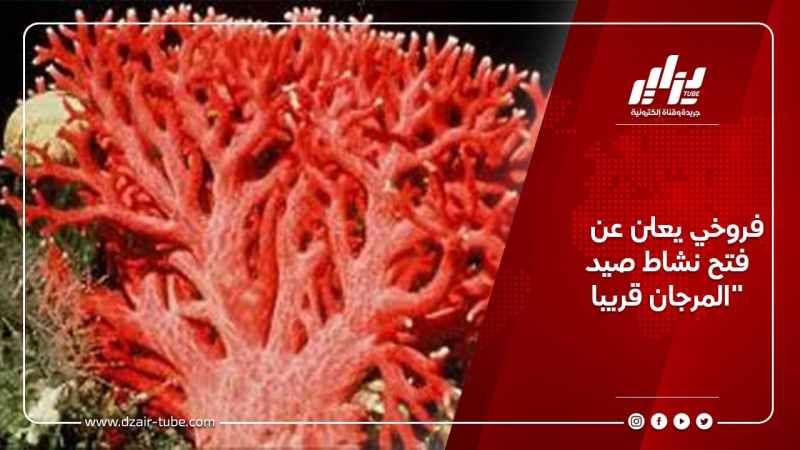فروخي يعلن عن فتح نشاط صيد المرجان قريبا