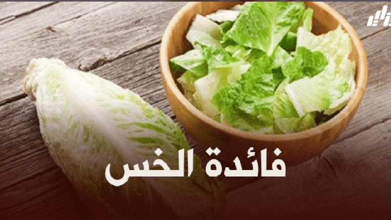صحة و رياضة : فائدة ‘الخس’ لجسم الانسان