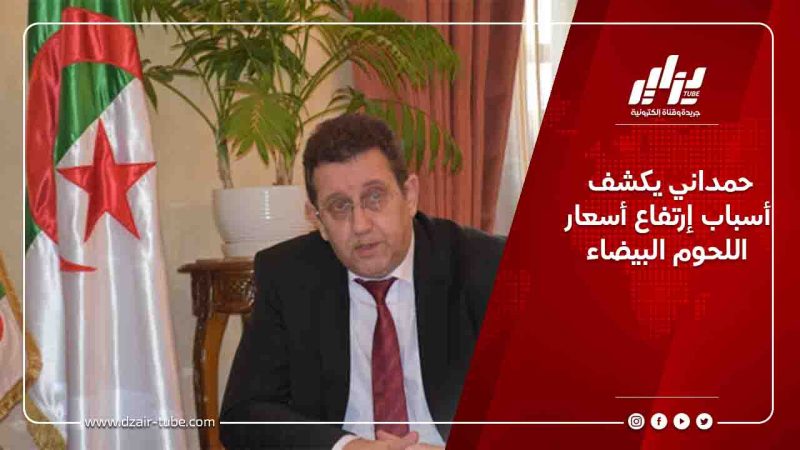 حمداني يكشف أسباب إرتفاع أسعار اللحوم البيضاء