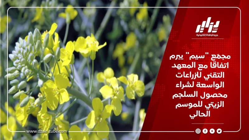 مجمّع “سيم” يبرم اتفاقا مع المعهد التقني للزراعات الواسعة لشراء محصول السلجم الزيتي للموسم الحالي