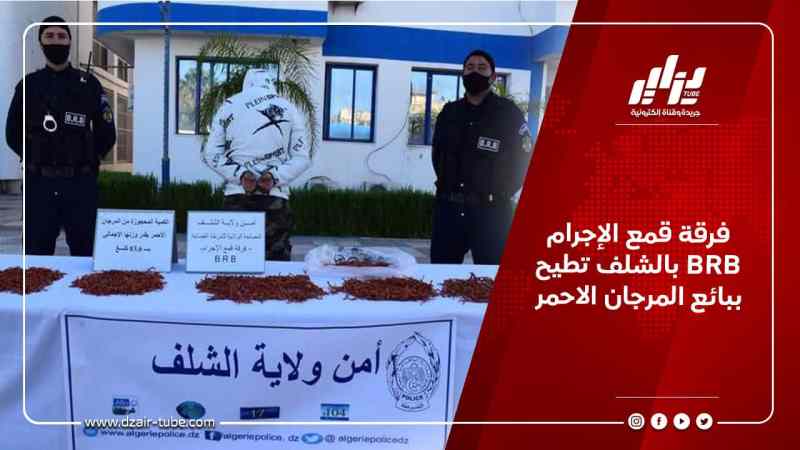 فرقة قمع الإجرام BRB بالشلف تطيح ببائع المرجان الاحمر 