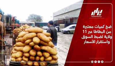 ضخ كميات معتبرة من البطاطا عبر 11 ولايات لضبط السوق واستقرار الأسعار