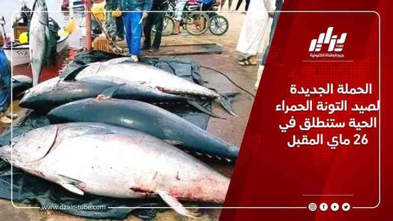 الحملة الجديدة لصيد التونة الحمراء الحية ستنطلق في 26 ماي المقبل