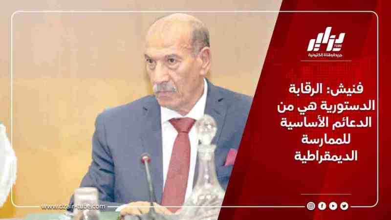 فنيش: الرقابة الدستورية هي من الدعائم الأساسية للممارسة الديمقراطية