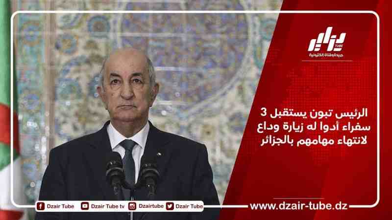 الرئيس تبون يستقبل 3 سفراء أدوا له زيارة وداع لانتهاء مهامهم بالجزائر