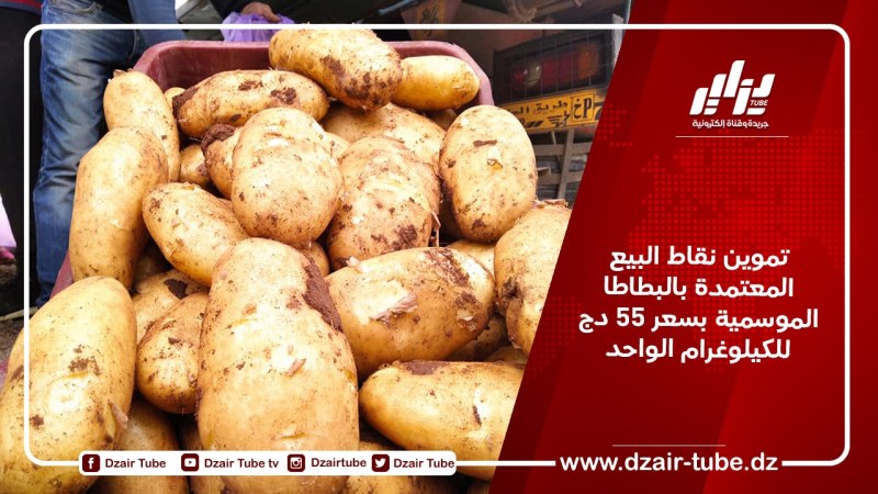 تموين نقاط البيع المعتمدة بالبطاطا الموسمية بسعر 55 دج للكيلوغرام الواحد