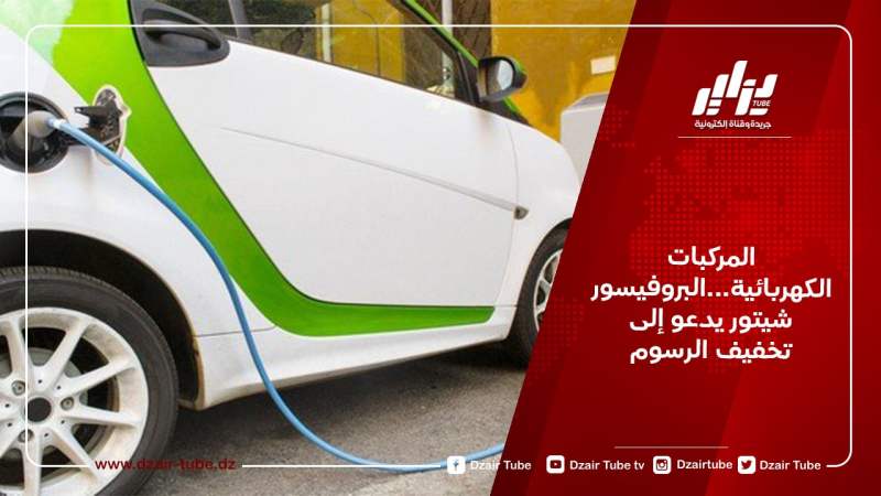 المركبات الكهربائية…البروفيسور شيتور يدعو إلى تخفيف الرسوم